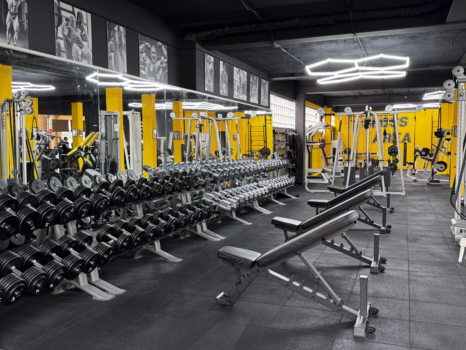 Trainerin im ALL STARS Gym