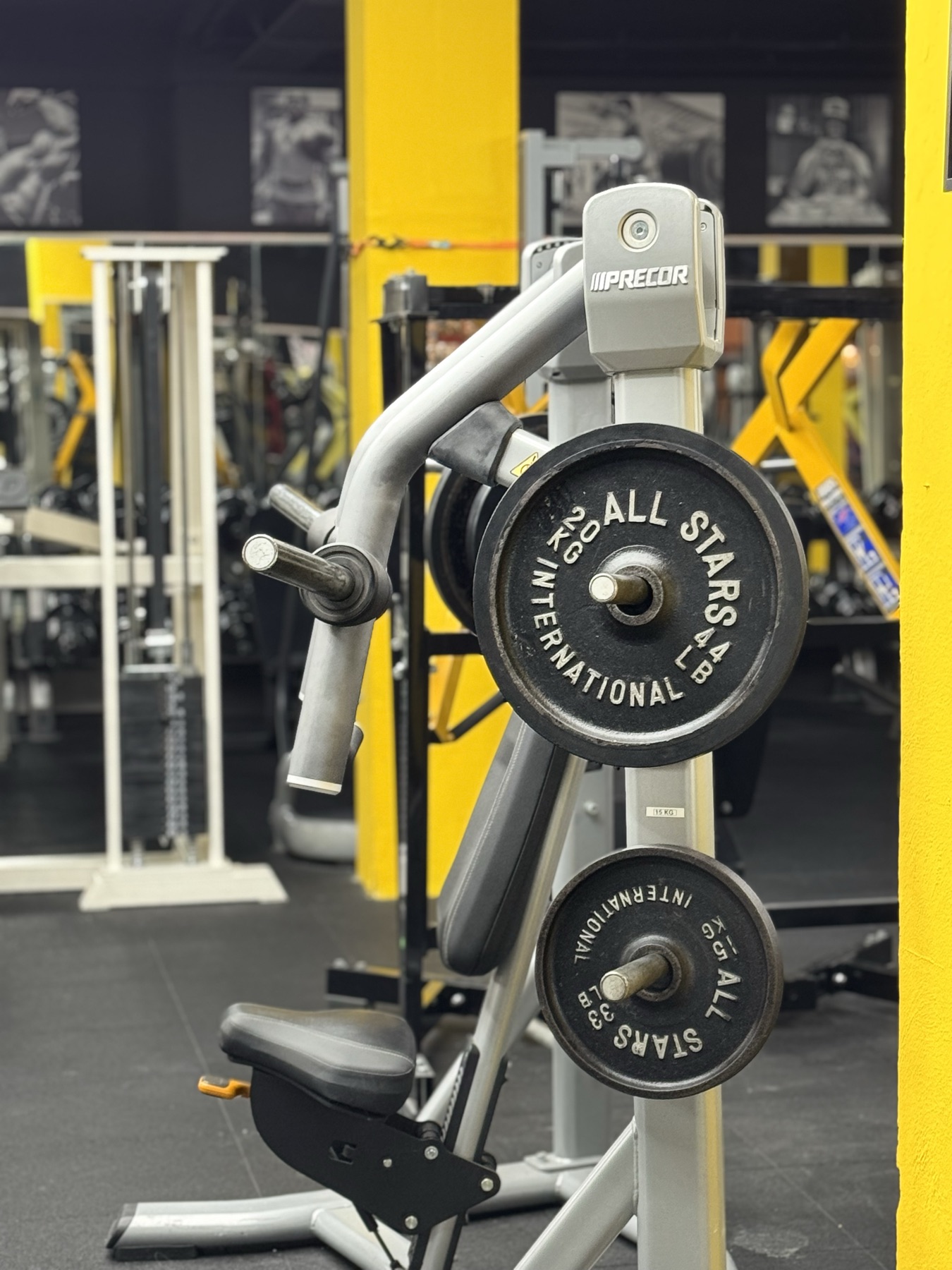 ALL STARS International Hantelscheibe an einer Precor-Maschine