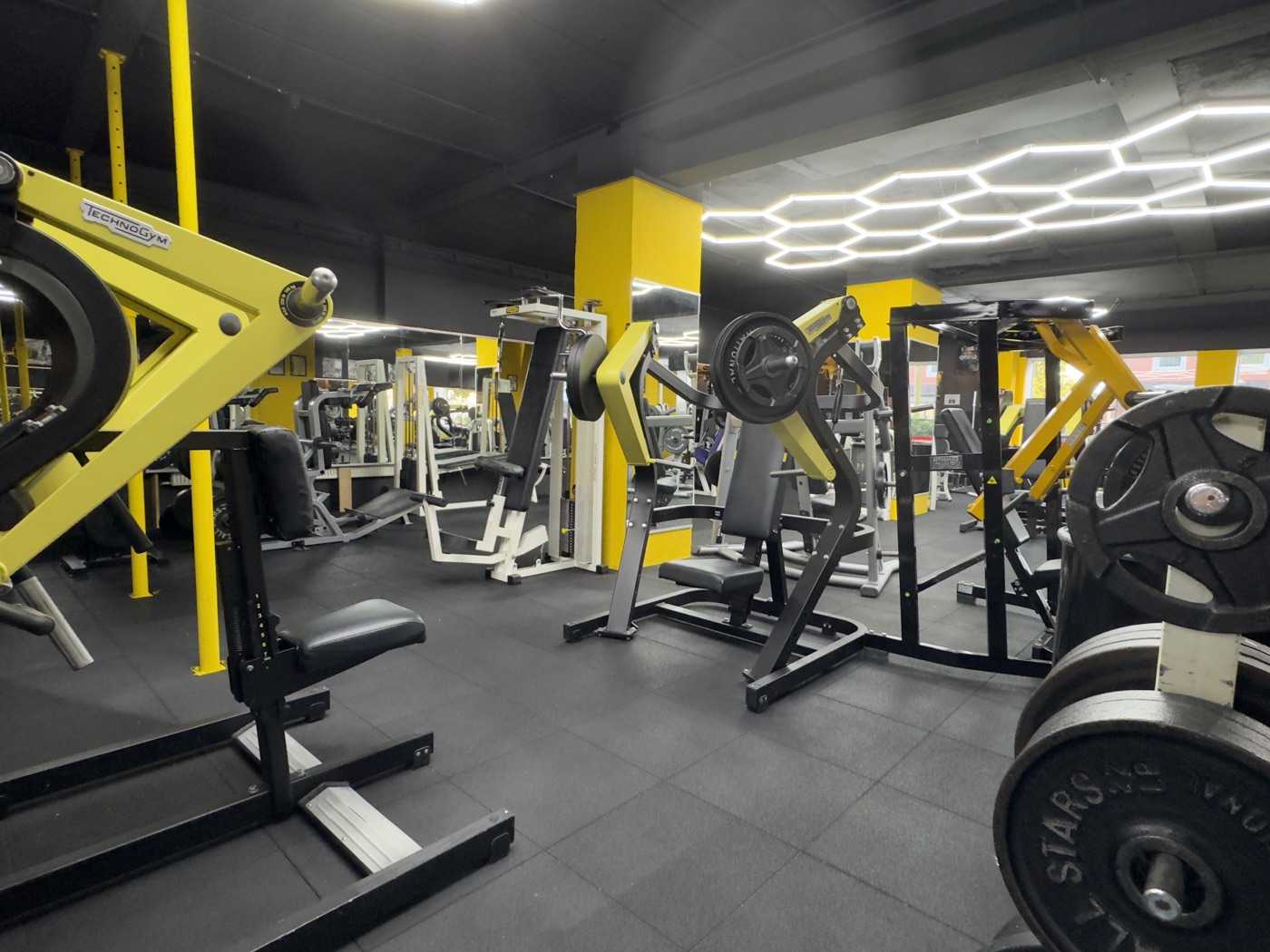 Plate-Loaded Maschinen im ALL STARS Gym